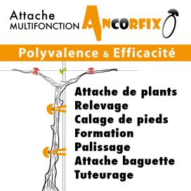 Ancorfix®