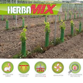 Protège plant Herbamix