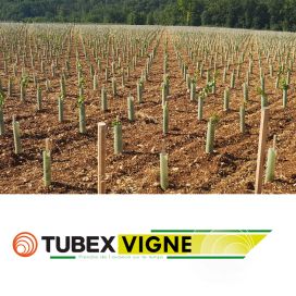 Tubex® Vigne +