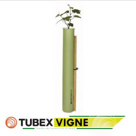 Tubex® Vigne +