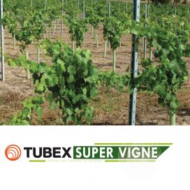 Tubex® Super Vigne+