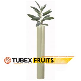 Tubex® Fruit et Fruit Extra