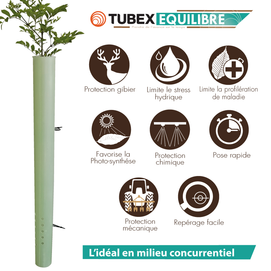 Tubes Essai Avec Des Plantes Support Sur Table image libre de droit par  serezniy © #212198044