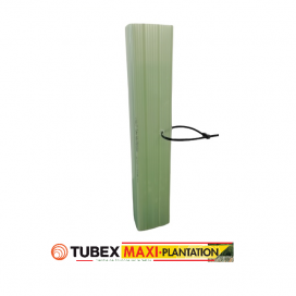 Tubex® Maxi-Plantation