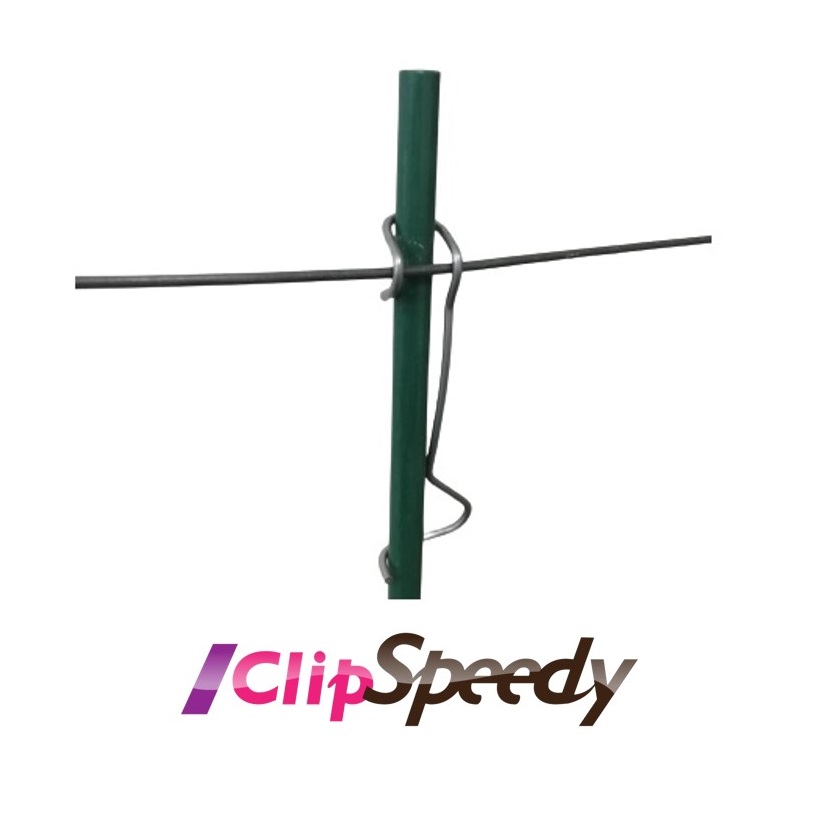 Clip Speedy