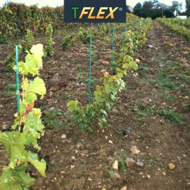 Tuteur T-Flex® Rond