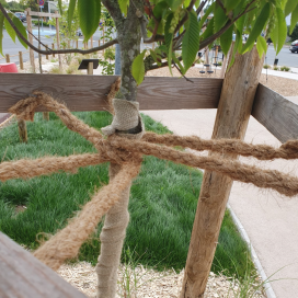 Corde Coco