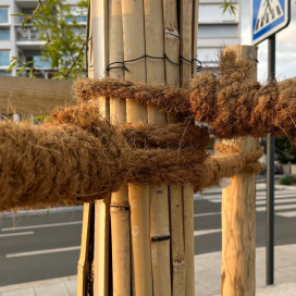 Corde Coco