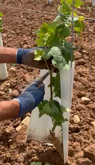 Tubex® Wrap - NOUVEAU