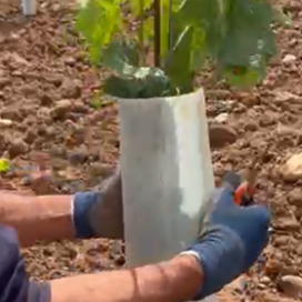 Tubex®  Wrap - NOUVEAU